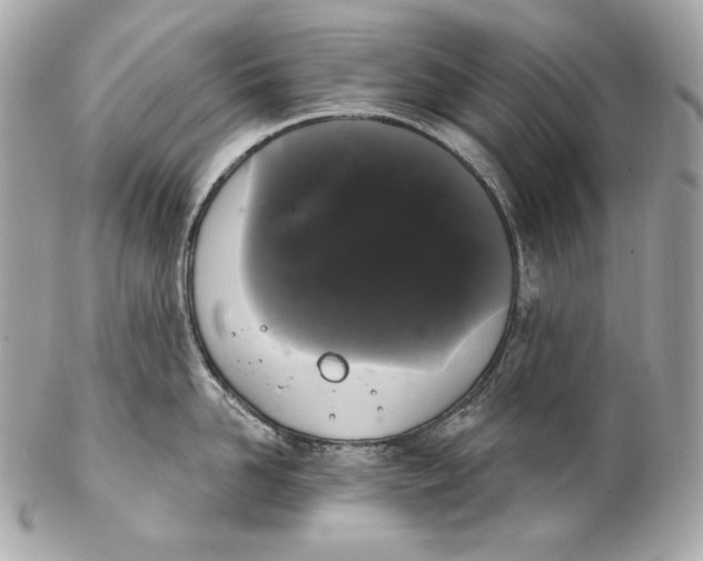 X0000102240958200808151750