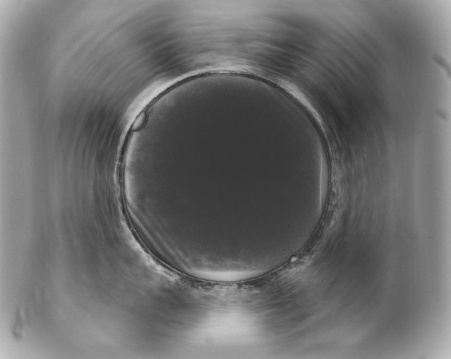 X0000102240959200808151751