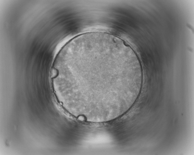 X0000102240960200808151751