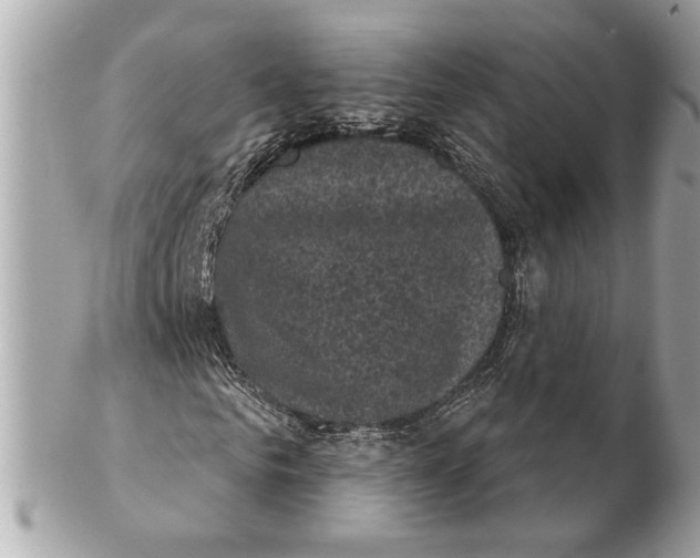 X0000102240961200808151750