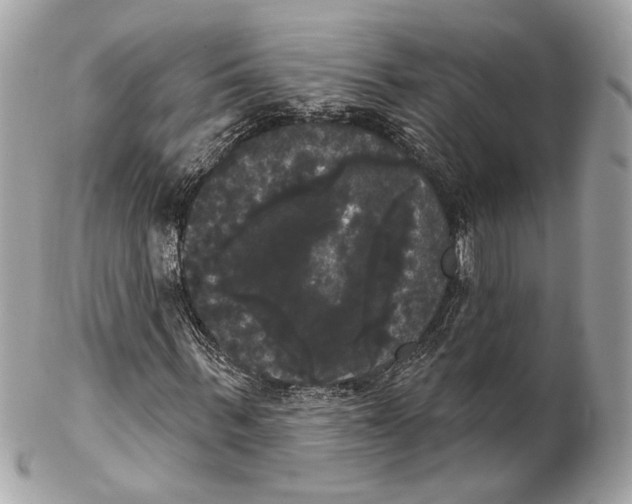 X0000102240963200808151750