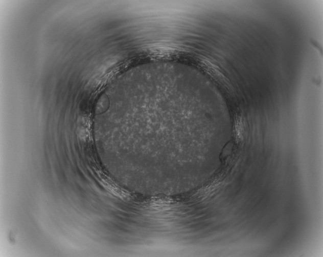 X0000102240964200808151750