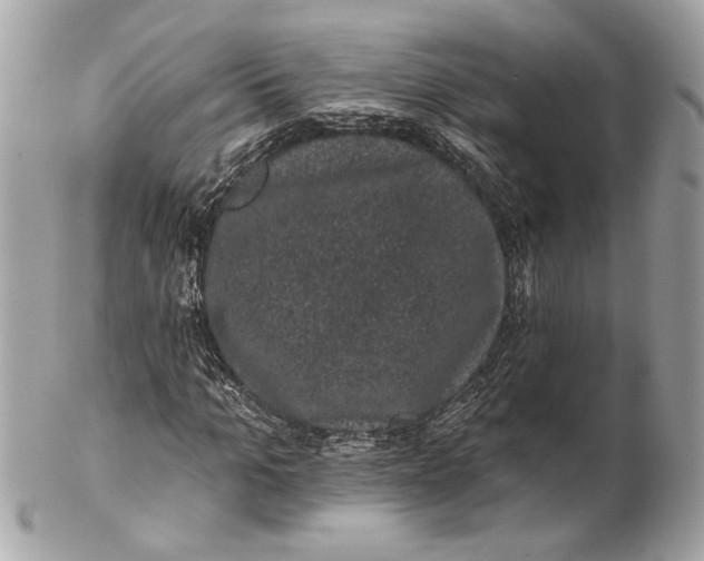 X0000102240965200808151750