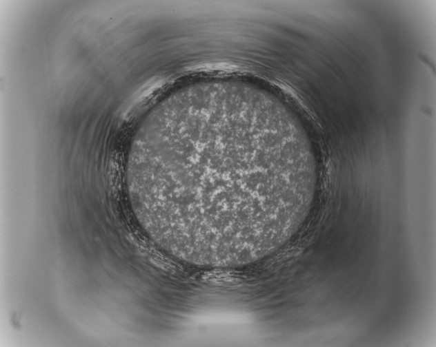 X0000102240967200808151750