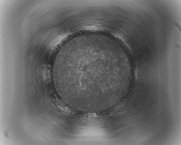 X0000102240968200808151750