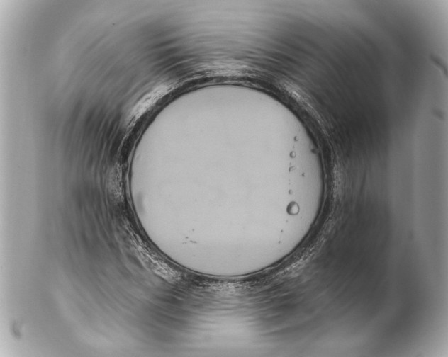 X0000102240970200808151750