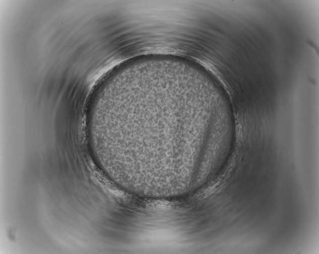 X0000102240971200808151750