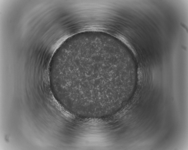 X0000102240972200808151750