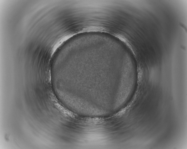 X0000102240973200808151750