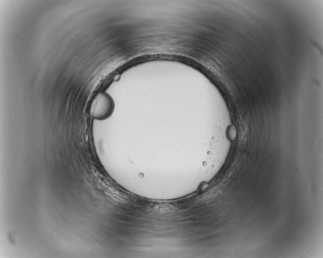 X0000102240974200808151750