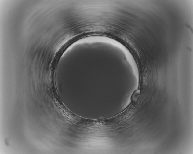 X0000102240975200808151750