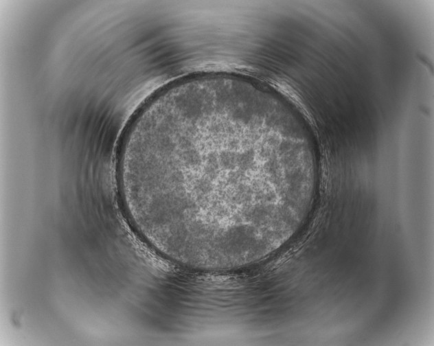 X0000102240976200808151750