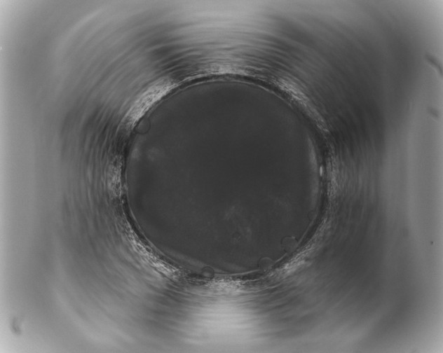 X0000102240977200808151750