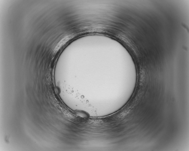 X0000102240978200808151750