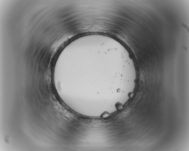 X0000102240979200808151749