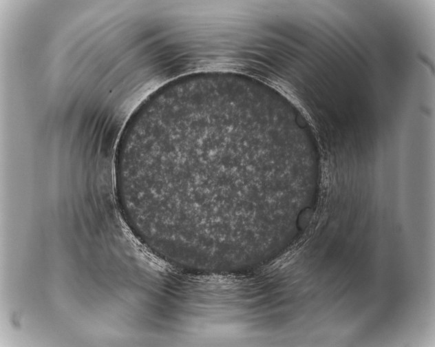 X0000102240980200808151749