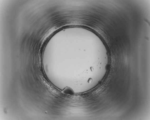 X0000102240982200808151749