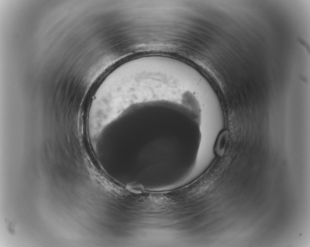 X0000102240983200808151749