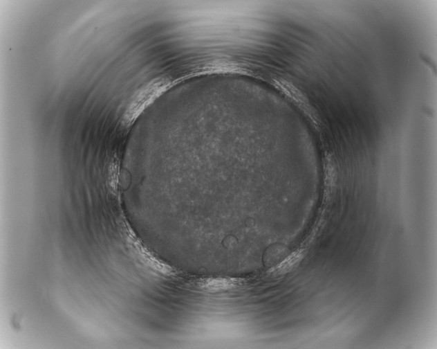 X0000102240985200808151749