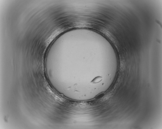 X0000102240986200808151749