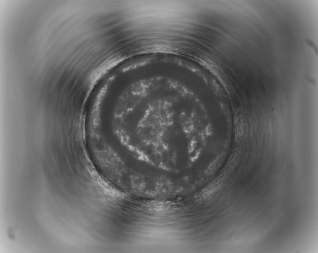 X0000102240987200808151749