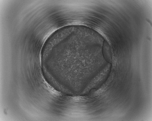 X0000102240988200808151749