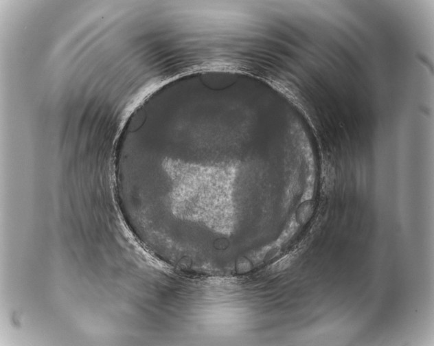 X0000102240989200808151749