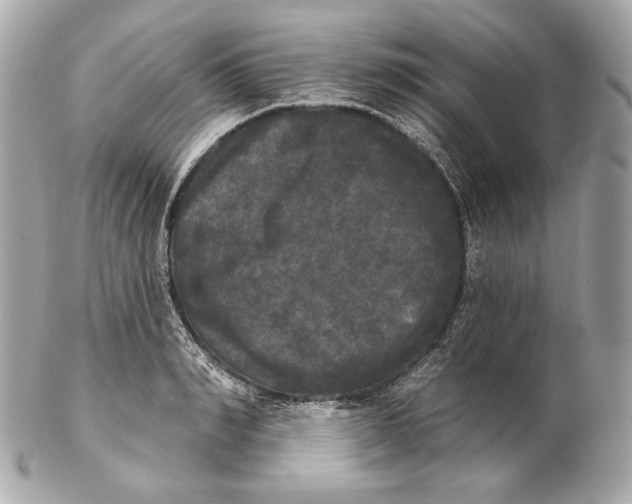 X0000102240990200808151749