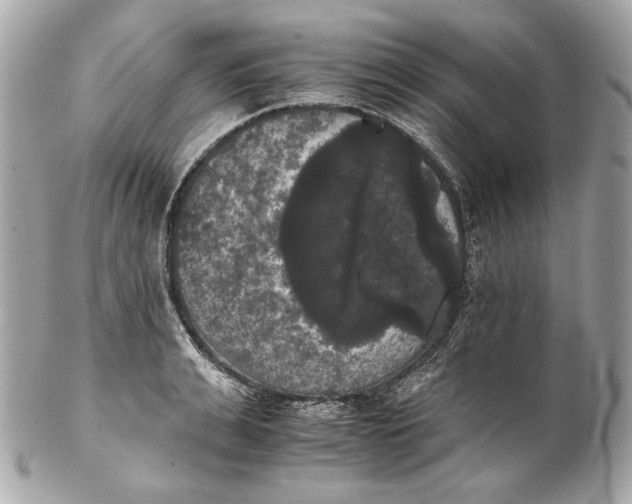 X0000102240991200808151749