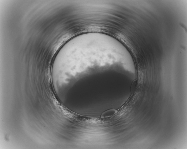 X0000102240994200808151749