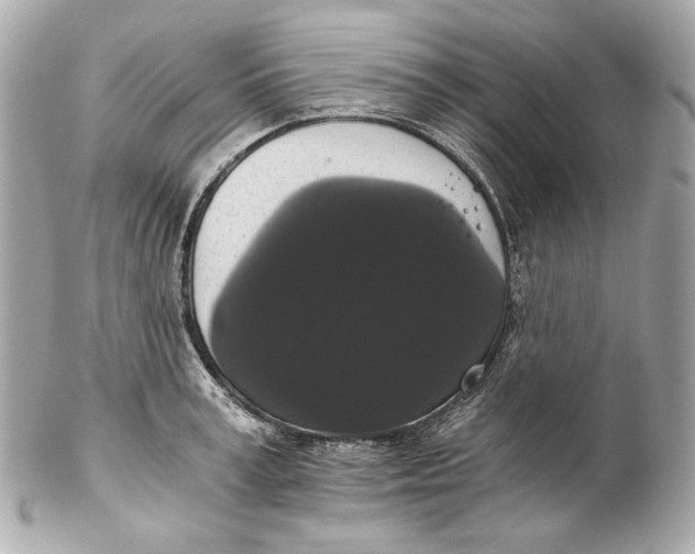 X0000102240995200808151749