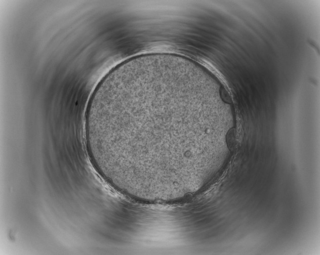 X0000102240996200808151749