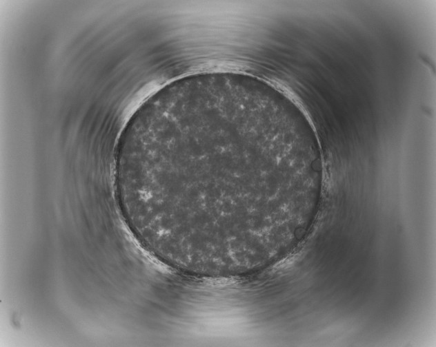 X0000102240997200808151749