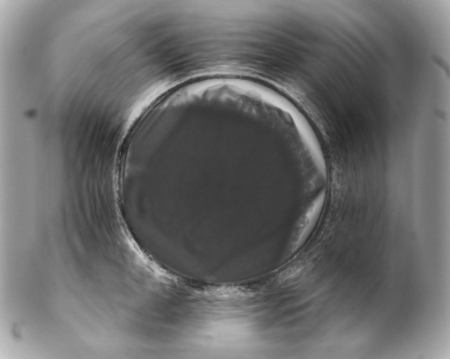 X0000102240998200808151749