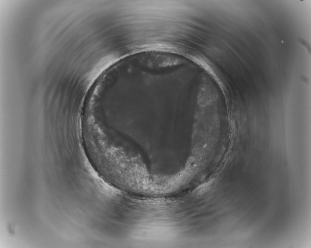 X0000102240999200808151749