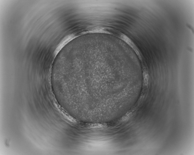 X0000102241002200808151749