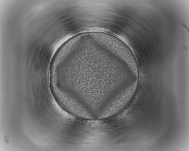 X0000102241003200808151749