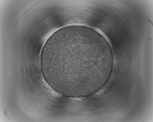 X0000102241004200808151749