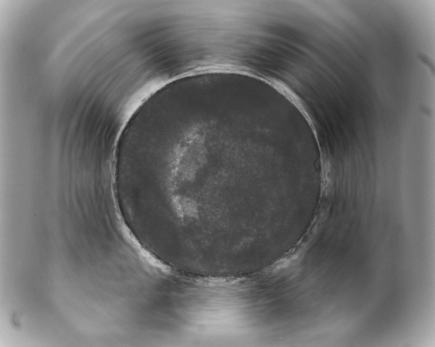 X0000102241005200808151749