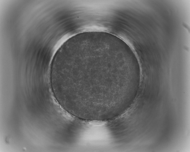 X0000102241008200808151749