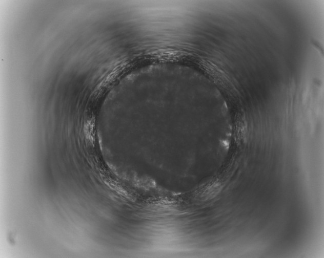 X0000102241010200808151748