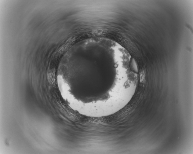 X0000102241011200808151748