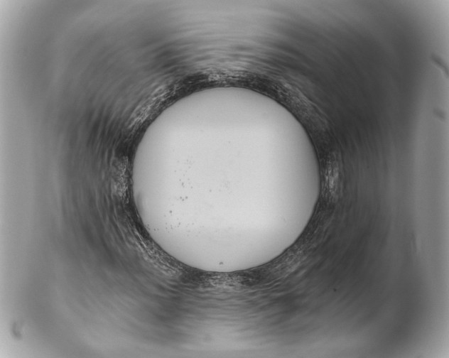 X0000102241012200808151748