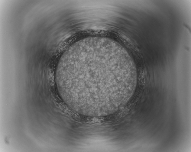 X0000102241013200808151748