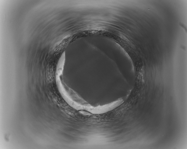 X0000102241014200808151748