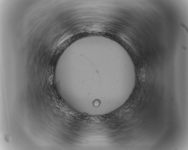 X0000102241015200808151749