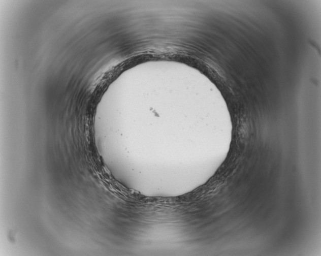 X0000102241016200808151749