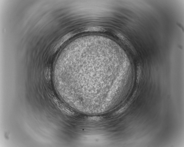 X0000102241017200808151749