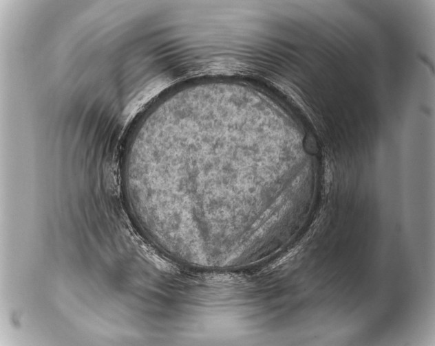 X0000102241018200808151749