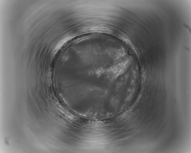 X0000102241019200808151749